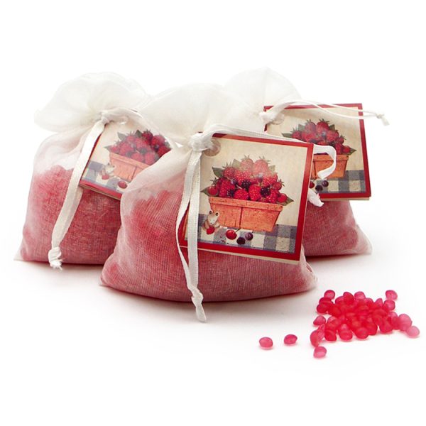 MINI RESINAS FRUTOS ROJOS