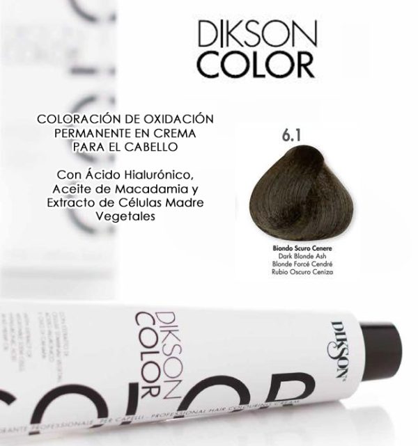 DIKSON COLOR THE SUPER COLOR 120 ML 6.1