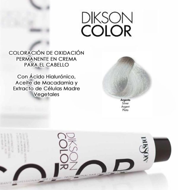 DIKSON COLOR THE SUPER COLOR 120 ML SILVER