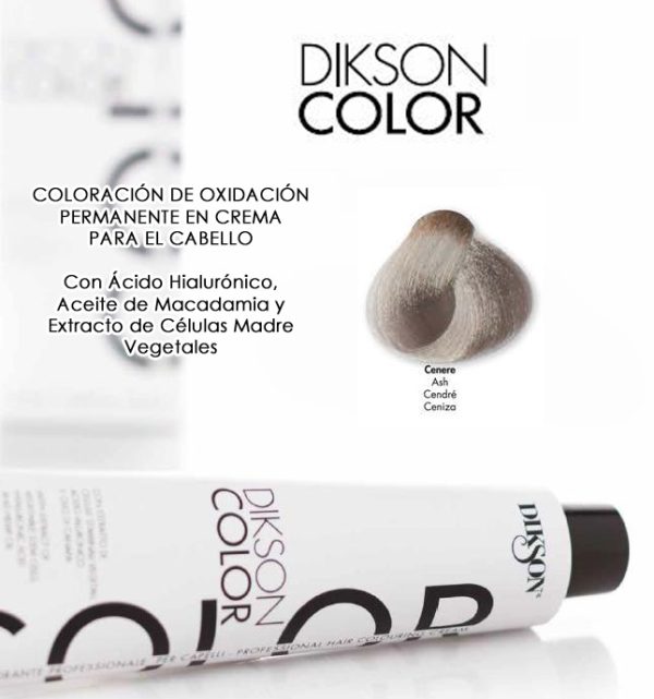 DIKSON COLOR THE SUPER COLOR 120 ML ASH