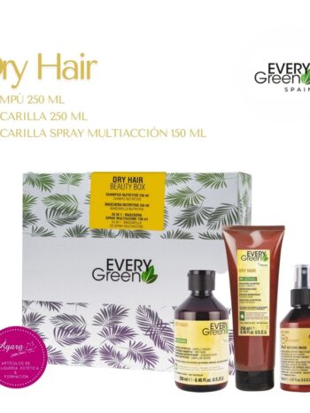 KIT EVERY GREEN DRY HAIR