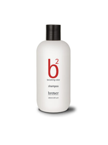 CHAMPU C.TEÑIDOS 250 ML BROAER