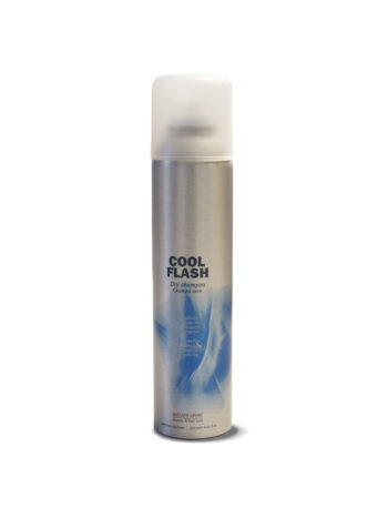 CHAMPU SECO COOL FLASH 250 ML