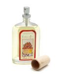 AMBIENTADOR SPRAY FRUTOS ROJOS 100 ML