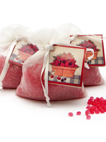 MINI RESINAS FRUTOS ROJOS