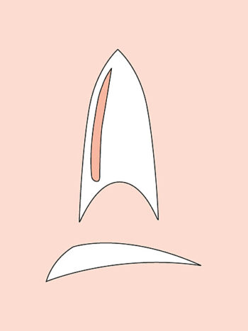 Stiletto x 50